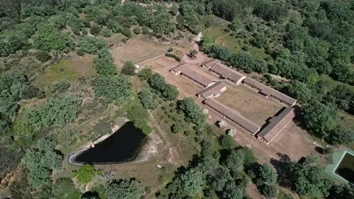 El Hojaranzo