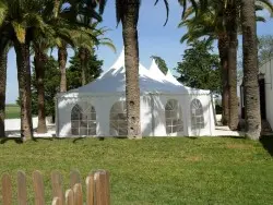 big-es-carpa.jpg