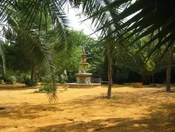 big-es-jardin-1.jpg