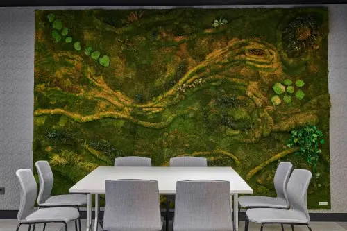 Sala 6