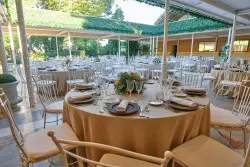 ROSALEDA GALA
