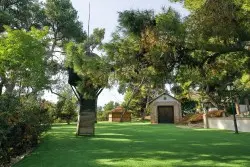 BOSQUE