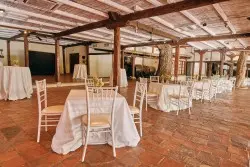 PERGOLA COCTEL